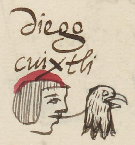 Cuixtli (MH503r) | Visual Lexicon of Aztec Hieroglyphs