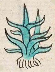 acatl (Mdz2r) | Visual Lexicon of Aztec Hieroglyphs
