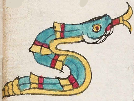 coatl (Mdz55r) | Visual Lexicon of Aztec Hieroglyphs